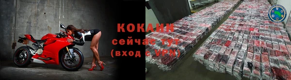 шишки Дмитровск