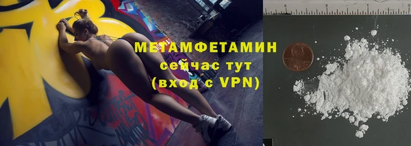 шишки Дмитровск