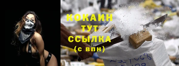 прущая мука Дмитриев