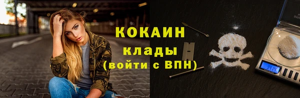 шишки Дмитровск