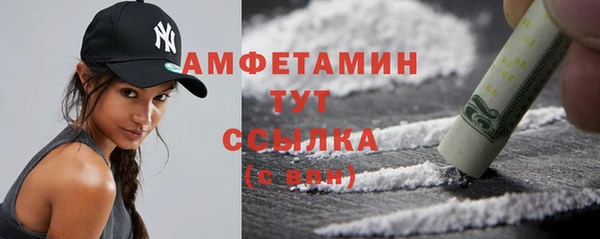 шишки Дмитровск