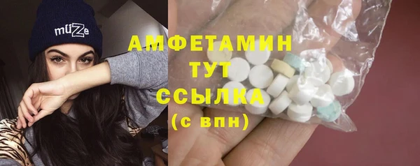 шишки Дмитровск