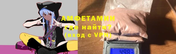 шишки Дмитровск