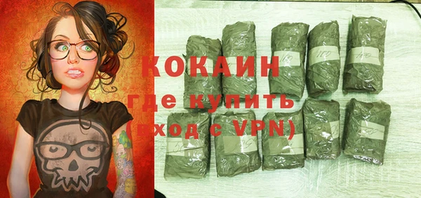 шишки Дмитровск