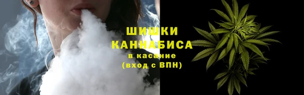 прущая мука Дмитриев