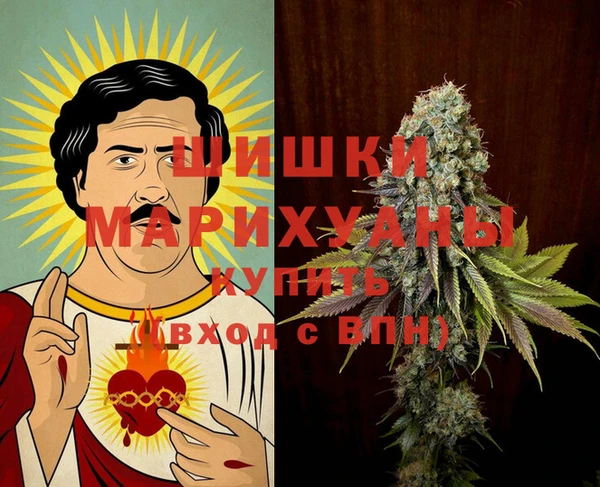 шишки Дмитровск
