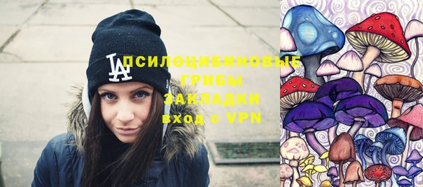 шишки Дмитровск