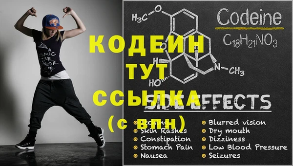 шишки Дмитровск