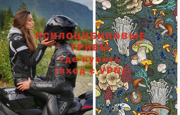 шишки Дмитровск
