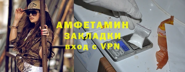шишки Дмитровск