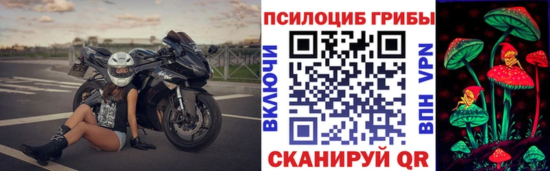 Галлюциногенные грибы MAGIC MUSHROOMS  цены   Ивангород 